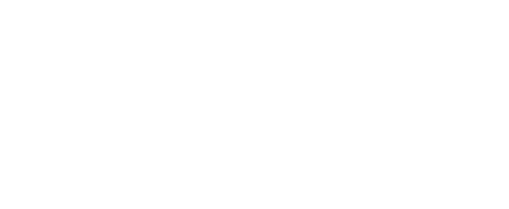 profix_logo_transp_rgb
